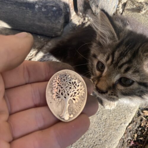 glimpses of summer tree necklace pendant handcrtafted from a silver two shilling coin