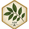 Ash +&pound;50