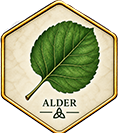 Alder +&pound;50