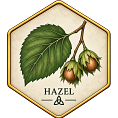 Hazel +&pound;50