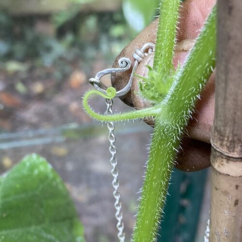 Hairy Growler Silver Chains - Image 4