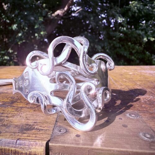 Octopus - Image 2