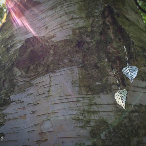 handmade and upcycled coin silver Birch leaves leaf earrings