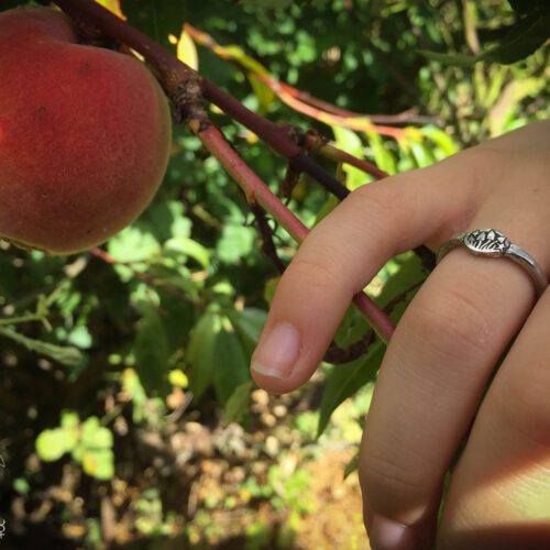 Shroom coin jewellery handcrafted using psilocybin mushrooms and traditional hand tools. Ethical jewellery create in an independent artisan jewelry studio workshop with the help of magic mushrooms. A healing gift of nature.