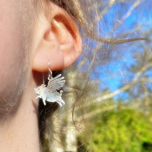 so pigs might fly... - Image 3