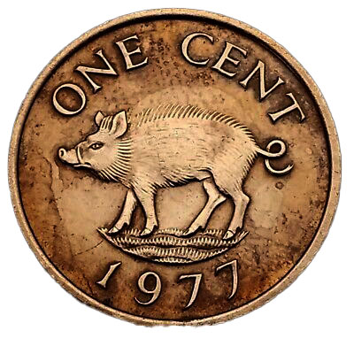 special birthday boar gift
