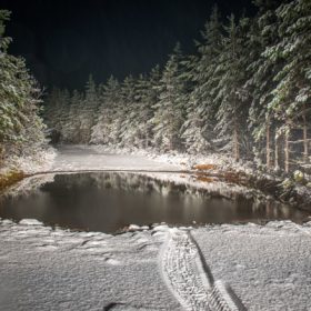 roadway filled by snow surrounded by pine trees landscape photography