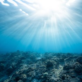 underwater photography of ocean