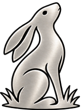 Silver hare