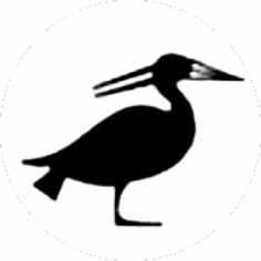 Bennu Bird