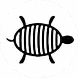 Turtle Apesh