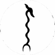 Was Scepter