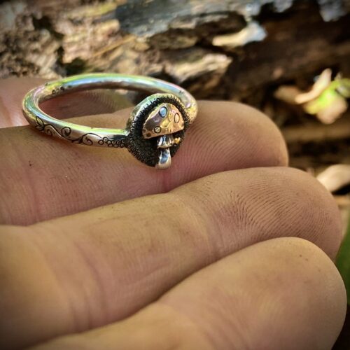 Fly Agaric Amanita muscaria magic mushroom shroom mushies picky luck ring made from silver coins by hairy Growler