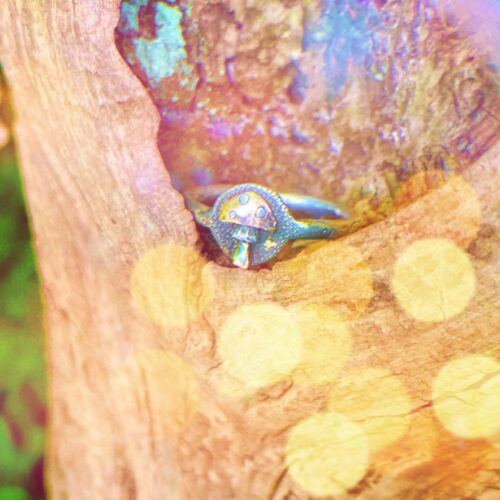 Fly Agaric Amanita muscaria magic mushroom shroom mushies picky luck ring made from silver coins by hairy Growler