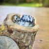 sacred grove ogham tree zodiac ring made from a 120 year old silver coin